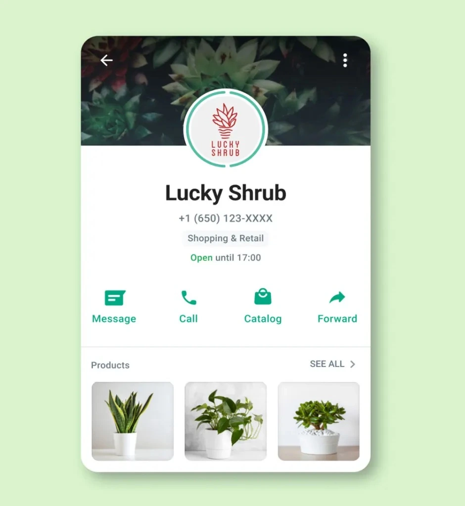Limitations of WhatsApp Business App overview