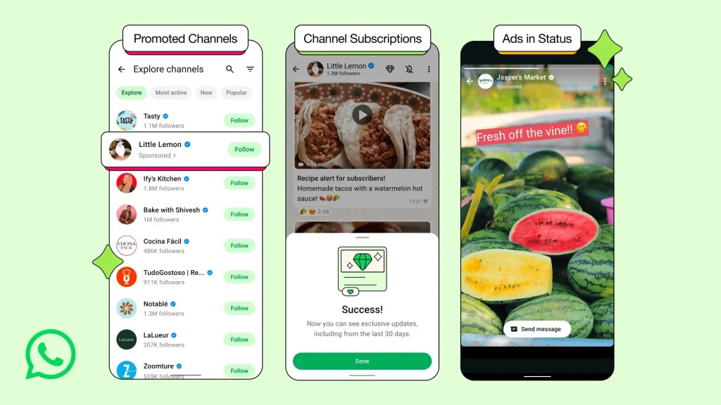 WhatsApp Ads formats including Ads in Status Promoted Channels and Channel Subscriptions